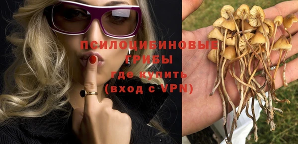 каннабис Богородицк
